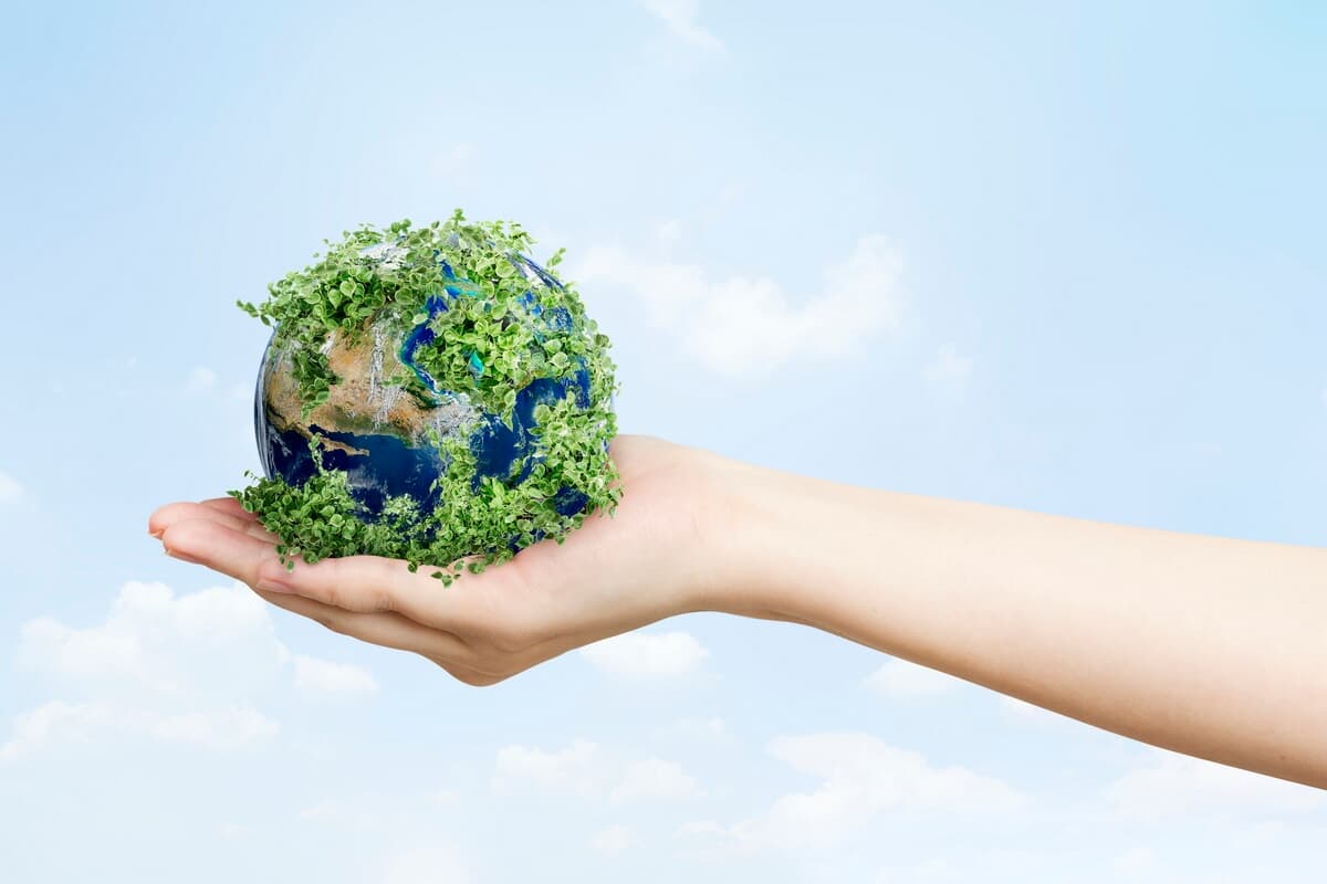 采照策略獲 2024 EcoVadis 永續經營徽章